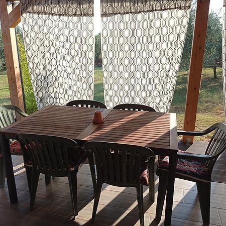 Nature Home Eco-Friendly Pet-Friendly Fažana Εξωτερικό φωτογραφία