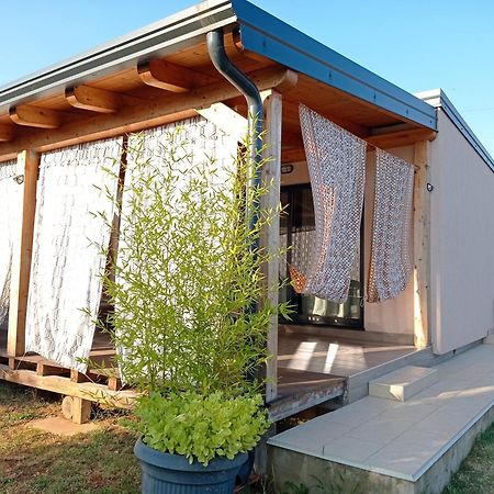 Nature Home Eco-Friendly Pet-Friendly Fažana Εξωτερικό φωτογραφία