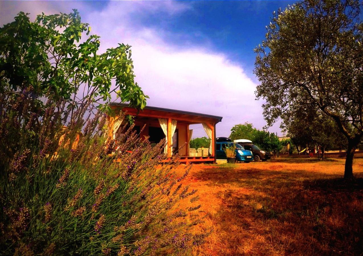 Nature Home Eco-Friendly Pet-Friendly Fažana Εξωτερικό φωτογραφία