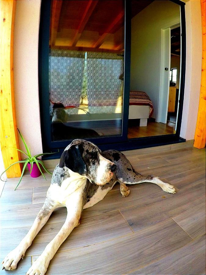 Nature Home Eco-Friendly Pet-Friendly Fažana Εξωτερικό φωτογραφία