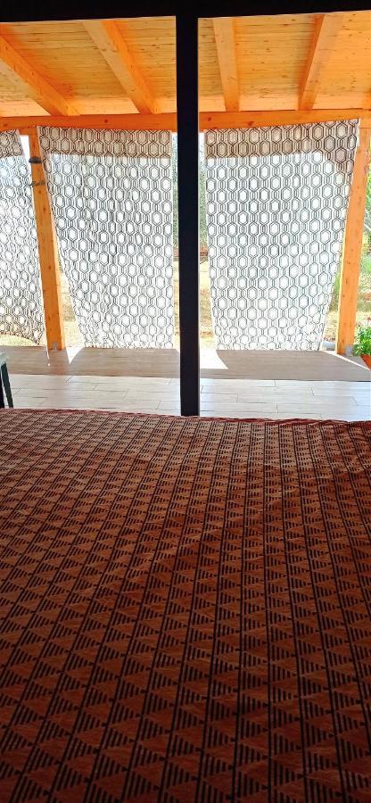 Nature Home Eco-Friendly Pet-Friendly Fažana Εξωτερικό φωτογραφία