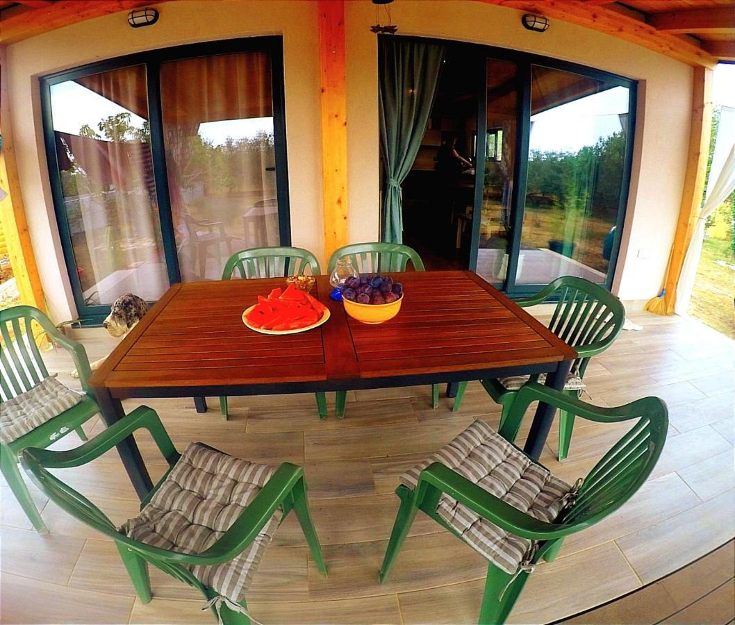 Nature Home Eco-Friendly Pet-Friendly Fažana Εξωτερικό φωτογραφία